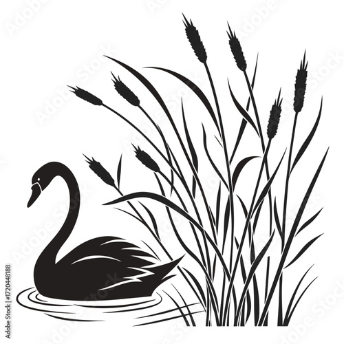 Swan gliding through cattails silhouette