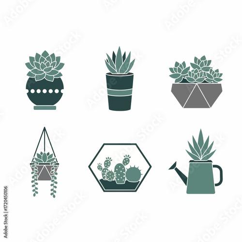 Succulent Plant Icon Set Flat Vector Illustrations