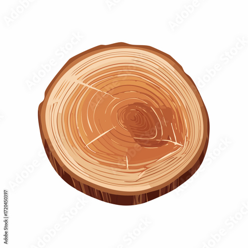 Round Wood Slice Cross Section Texture