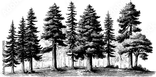 Engraving style seamless background of tree silhouettes for retro design and decor