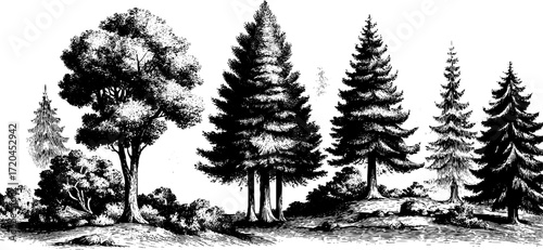 Vintage engraving style seamless pattern of tree silhouettes for retro design