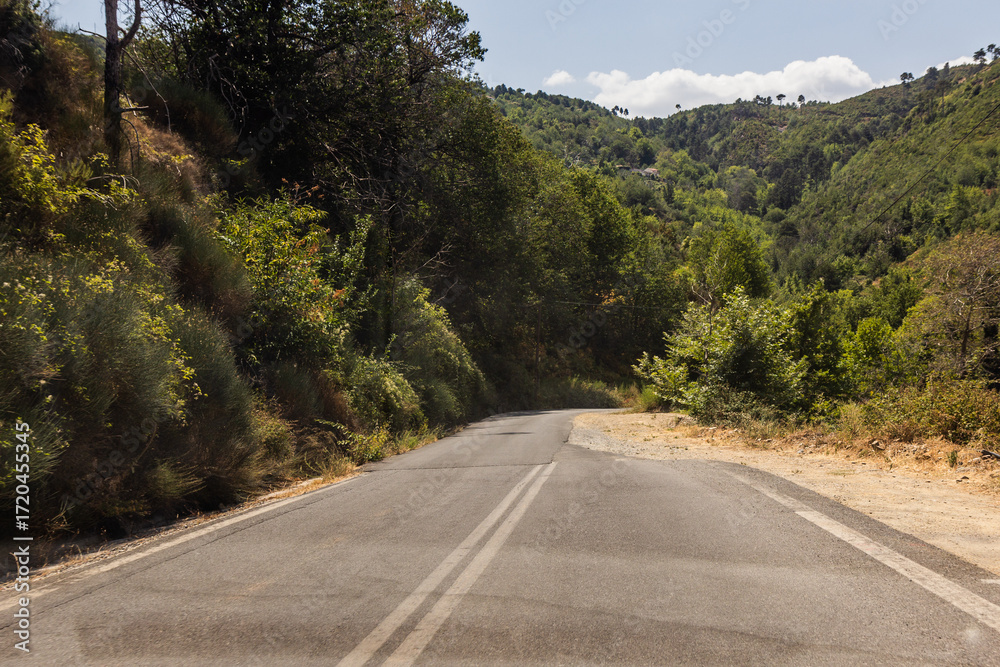 Naklejka premium Road 82 near Langada pass on Peloponnese peninsula, Greece