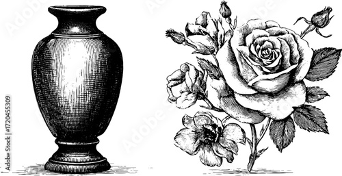 Vintage hand drawn engraving of tall narrow ceramic vase and bouquet of roses design for decor
