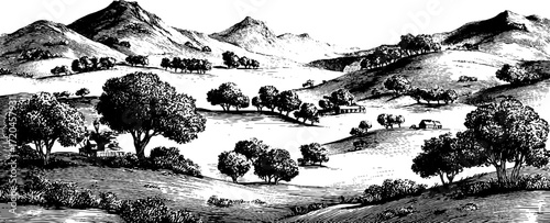 Vintage hand drawn rolling hills landscape illustration for design