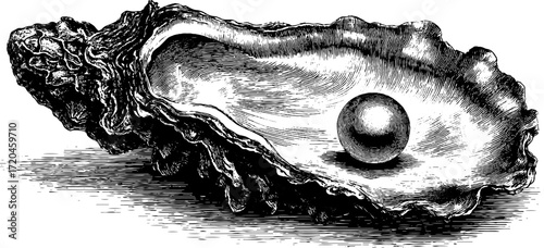 Vintage oyster shell with pearl engraving for decorative and design use