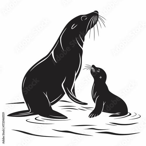 Fotografie Seal nudging pup in shallows silhouette