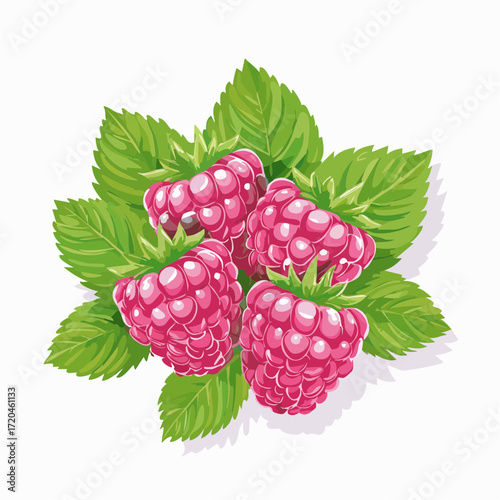 Himbeeren