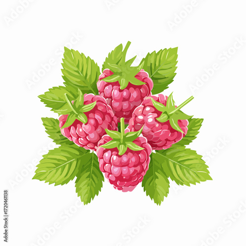 Himbeeren