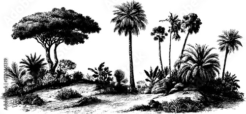 Hand drawn savanna landscape with grasses and trees for retro design