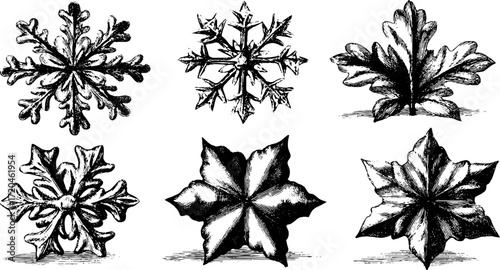Vintage hand drawn snowflakes collection with six branches for winter art and design