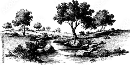 Tranquil stream amidst trees in hand drawn vintage landscape illustration