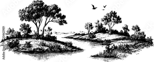 Vintage swamp landscape with trees and birds in retro hand drawn style