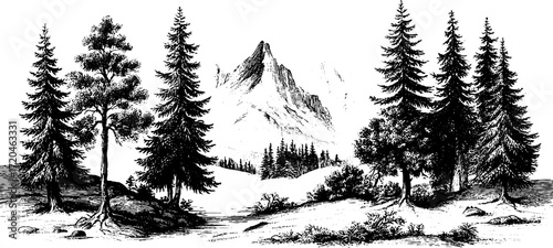 Vintage hand-drawn tundra landscape with mountain and pine trees for retro design