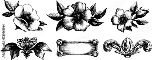 Elegant baroque flourishes and floral decorative elements for vintage design