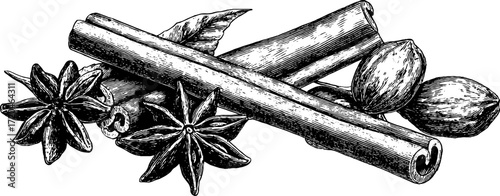 Vintage hand drawn illustration of cinnamon sticks and star anise for design