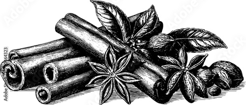 Vintage hand-drawn cinnamon sticks and star anise illustration for retro culinary design