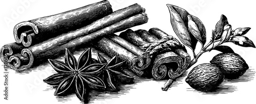Vintage spice set with cinnamon sticks, star anise, and nutmeg for culinary design