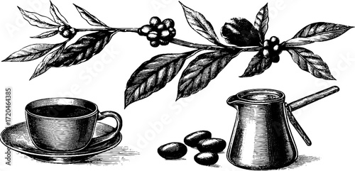 Vintage coffee collection: hand drawn coffee beans, branch and cup for design