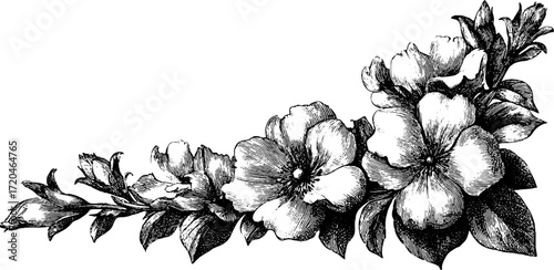Vintage floral border lace edge design for cards and posters