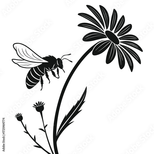 Bee sipping from wild daisy silhouette