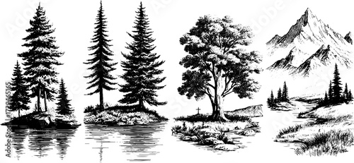 Mountain lake and pine forest illustration set with meadows and peaks for nature designs