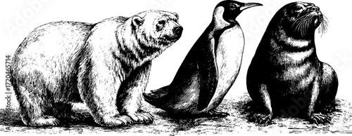 Vintage hand drawn illustration of polar bear, penguin, and walrus silhouettes for retro design