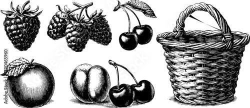 Vintage illustration set of raspberries, strawberries, and assorted fruits with basket design