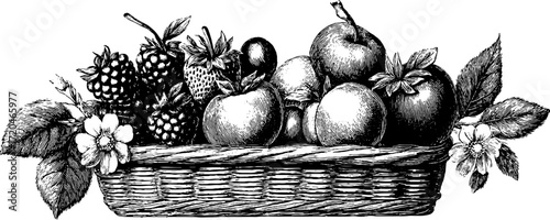 Vintage hand drawn illustration set of raspberries and strawberries in a basket for retro design