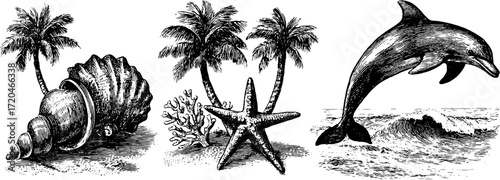 Vintage ocean life sketch: seashells, starfish, palm trees, and dolphin silhouette for retro decor