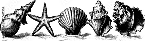 Vintage engraving style seamless pattern of seashells and starfish for retro design