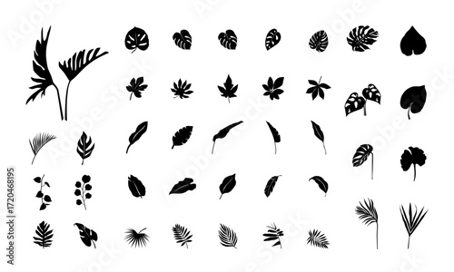 Set of tropical leaf silhouette elements set isolated on white background. Palm, fan palm, monstera, banana leaves. Vector illustration