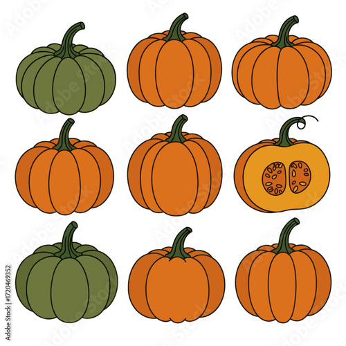 Set of pumpkins, whole and halved, orange and green.
