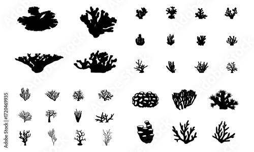 Set of various coral silhouette on the white background