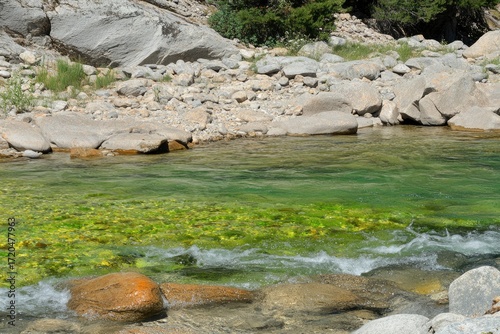 Clear river with rocks and green algae