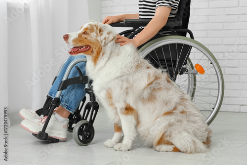 Service dog near woman in w...