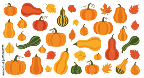 An autumnal collection of pumpkin and squash illustrations featuring various shapes and sizes with colorful leaves for seasonal fall designs