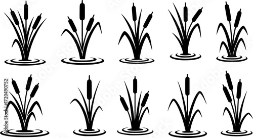 Cattail icon vector set. reeds illustration sign collection. swamp symbol. grass logo.
