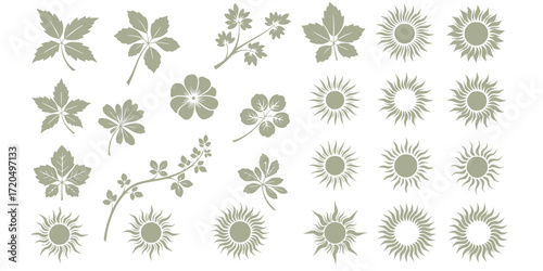 Black and white stencil set of flora and sun elements for creative design