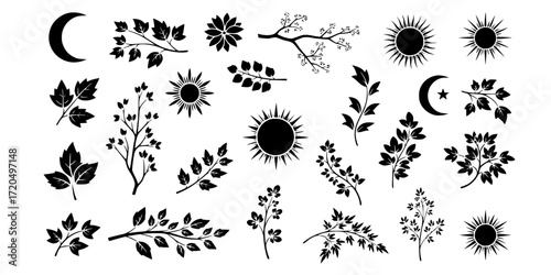Black and white stencil set of flora and sun elements for creative design