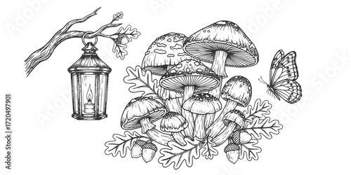Enchanted forest elements in vintage engraving style: mushrooms, lantern, oak leaves, and butterfly
