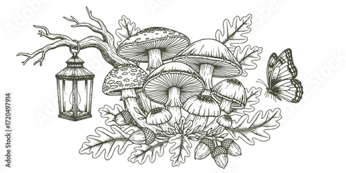 Enchanted forest elements in vintage engraving style: mushrooms, lantern, oak leaves, and butterfly