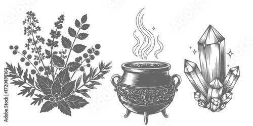 Enchanted elements: engraved collection of cauldron, crystal, and mystical herbs for magic and alchemy
