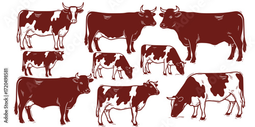 Linocut cows and bulls collection featuring ayrshire and holstein breeds 