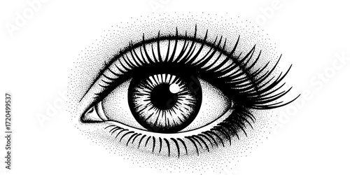 illustration of an eye with intricate detail