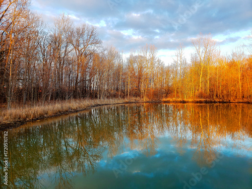 Karrer Pond, Red Trabue Nature Preserve in Late Winter, Dublin, Ohio