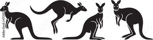 kangaroo silhouette pack simple australian marsupial hopping standing sitting tail vector files