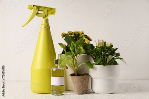 Bottle of plant fertilizer ...
