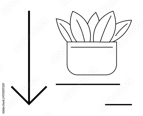Downward pointing arrow next to a potted plant with broad leaves and horizontal lines. Ideal for growth, balance, minimalistic decor, direction, nature, productivity, simplicity. Clean flat metaphor