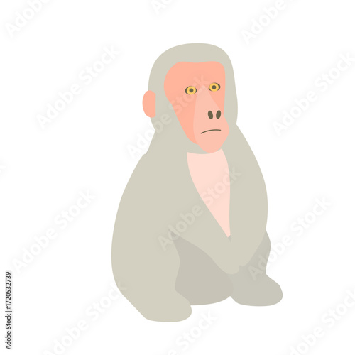 座っているサルのイラスト