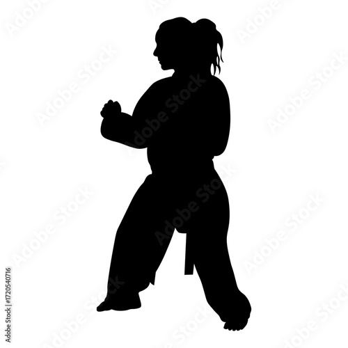 Silhouette of a Woman Karate Athlete.